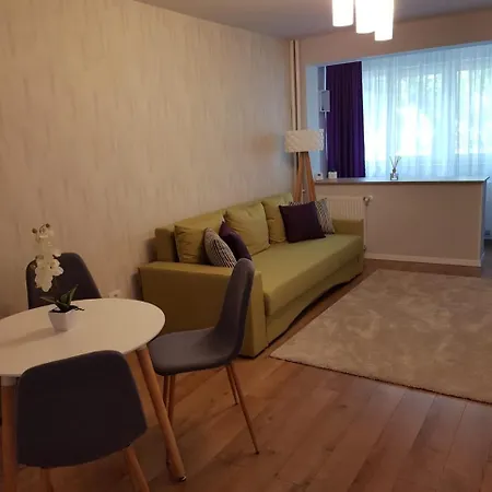 Smp 3 Apartment Timisoara