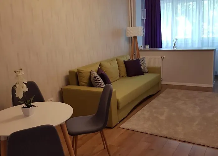 Smp 3 Apartment Timişoara